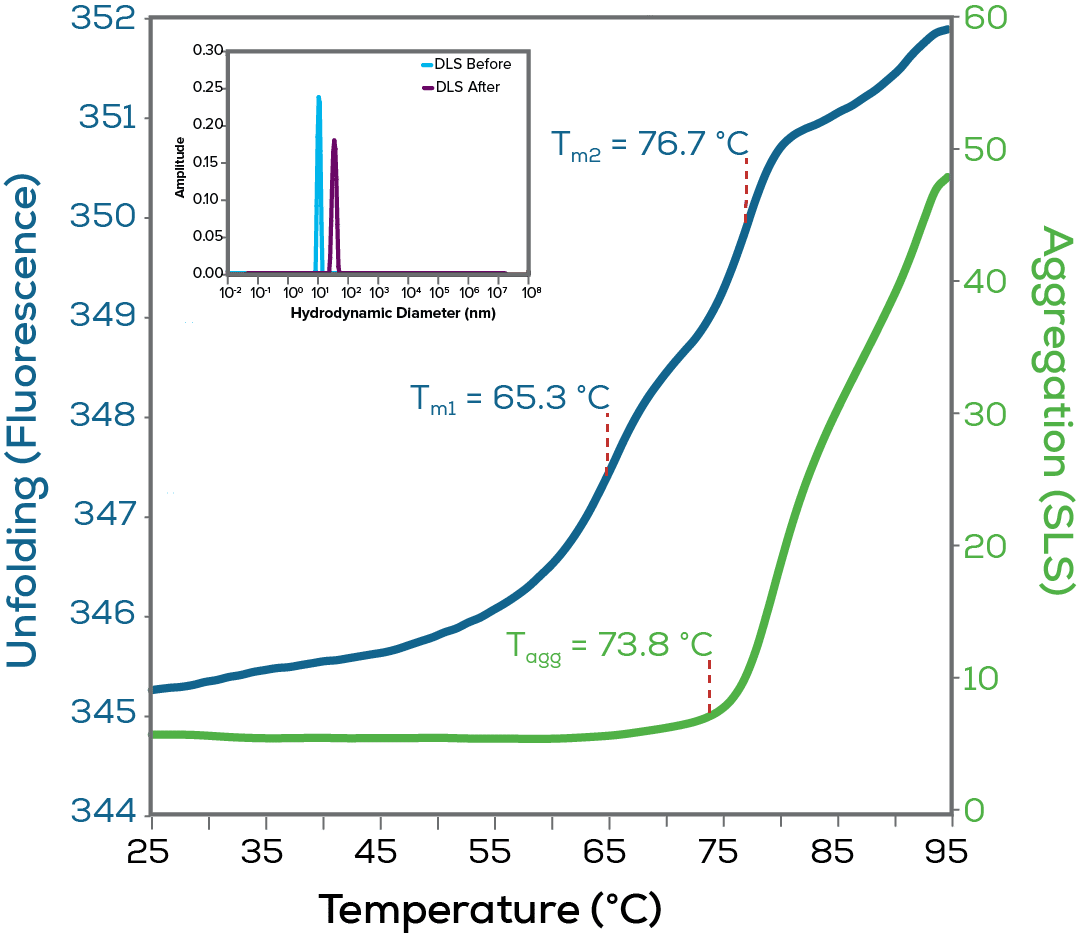 DLS-sq2 DLS-sq2