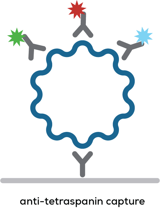 Exosomes & EVs_The Solution_anti tertra