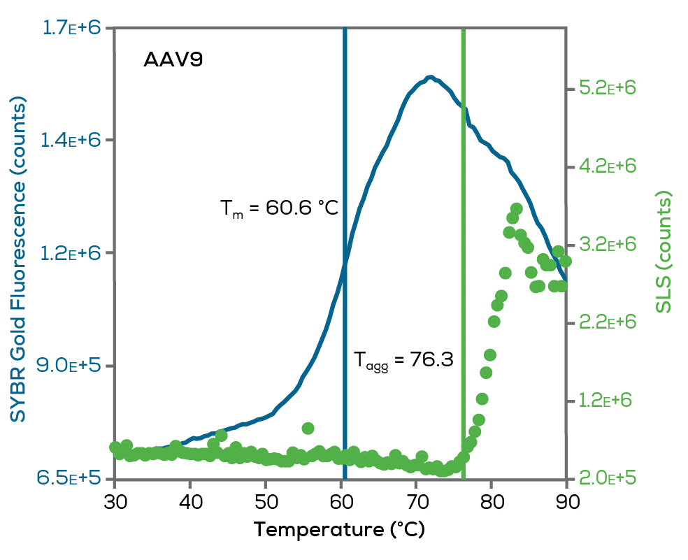 Capsid Stability