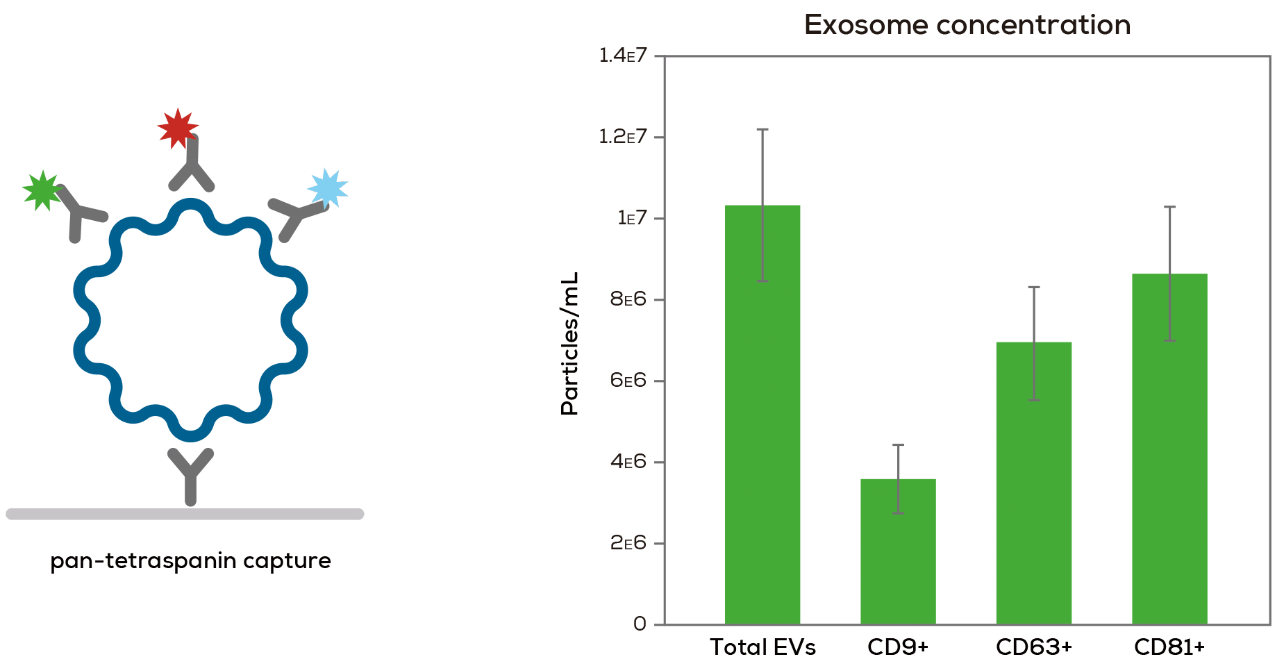exome-graph-leprachaun_v2 exome-graph-leprachaun_v2