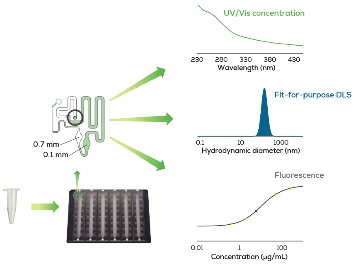 Stunner-Brochure-Page-3-Image-crop2