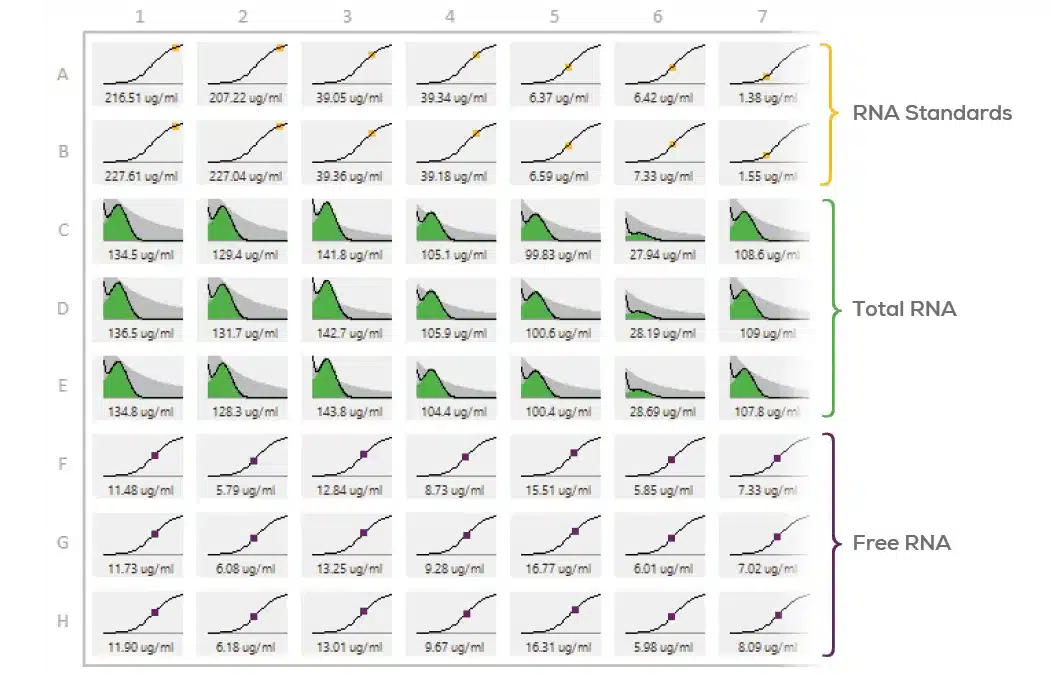 Stunner-Brochure_Page-5-Image