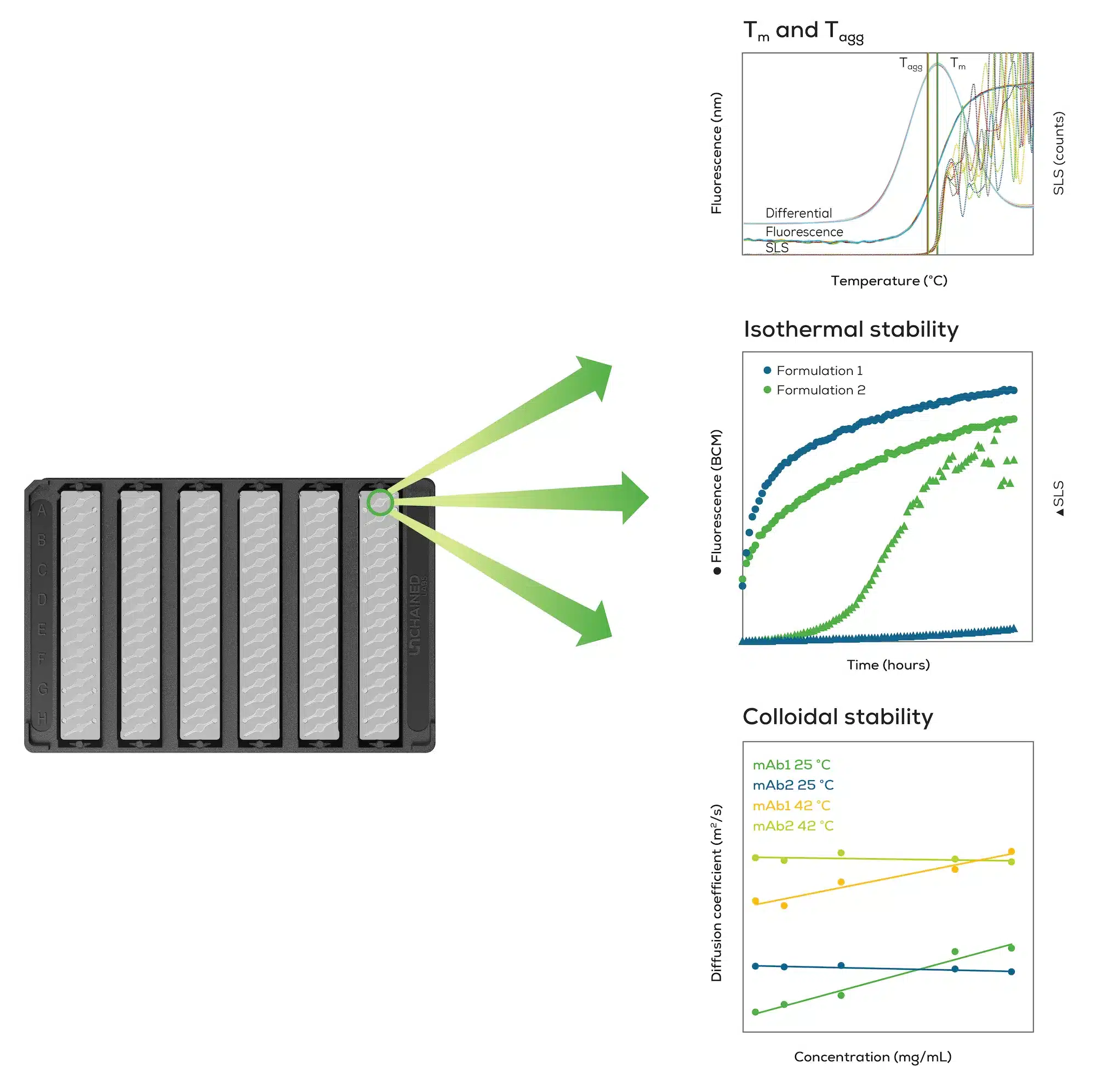 Aunty-graphic_dominate-protein-stability_partial-lables